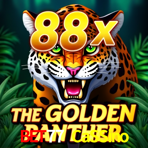 A Experiência Imersiva dos Cassinos Ao Vivo no Bet77 CaSSino